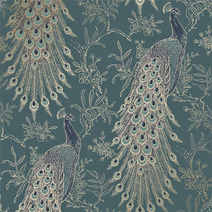 teal peacock wallpaper