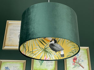 parrot light shade